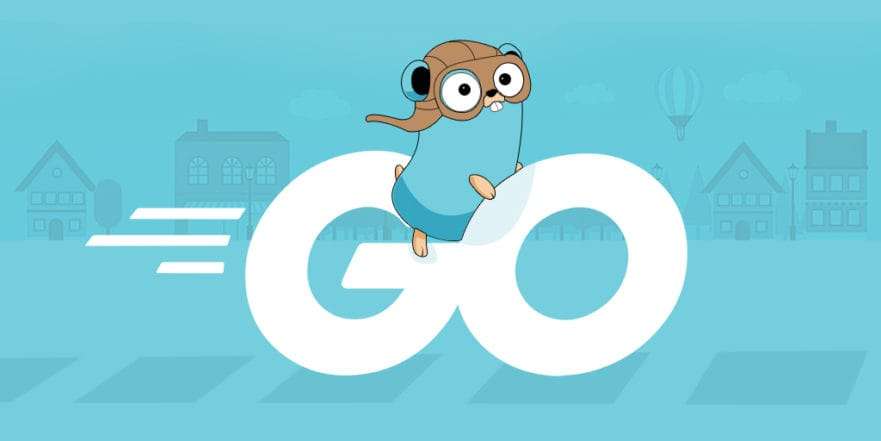 Go Programming Language