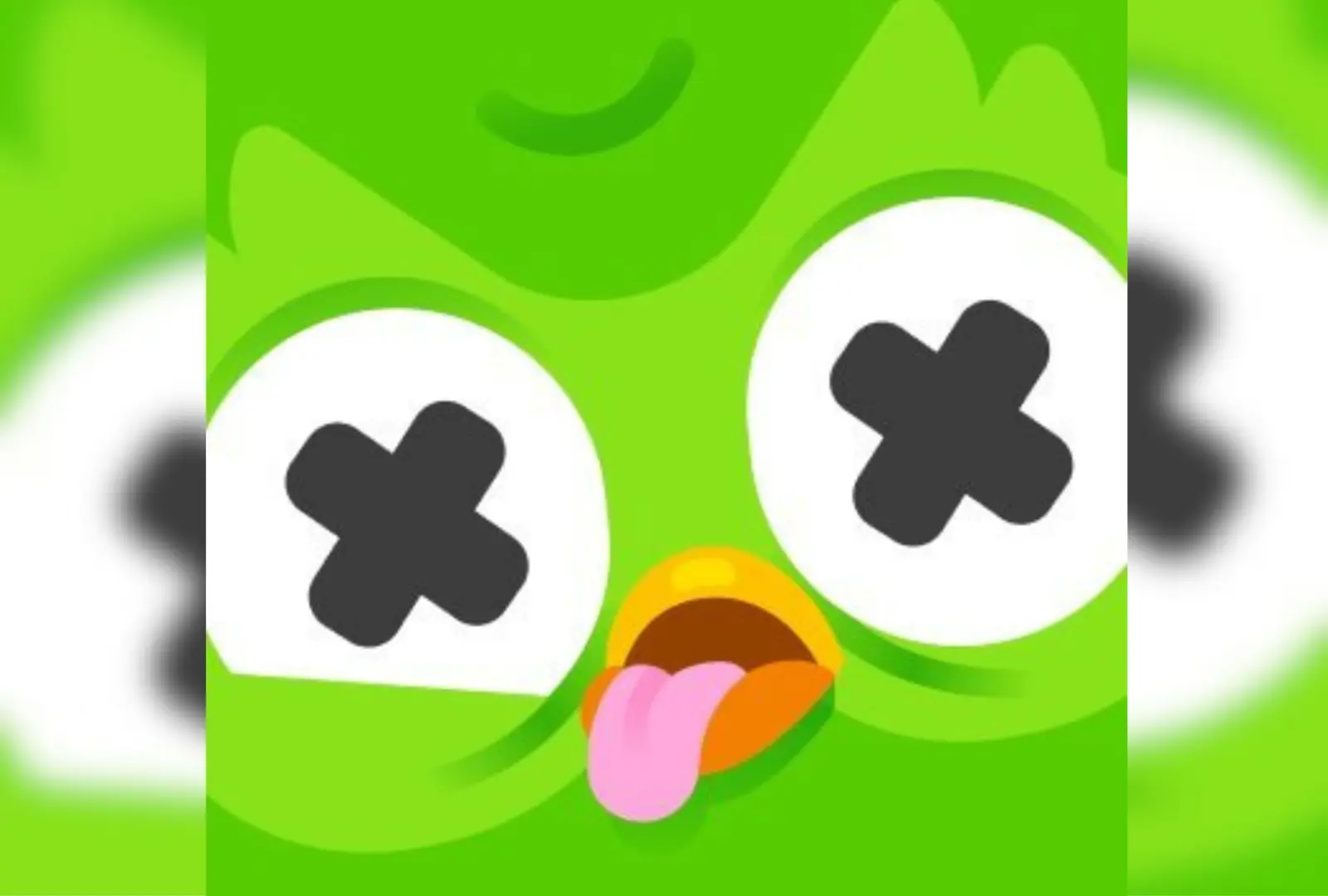 duolingo logo